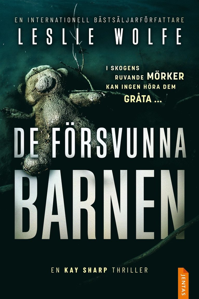 Leslie Wolfe - De försvunna barnen, E-bok
