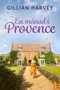 En mnad i Provence
