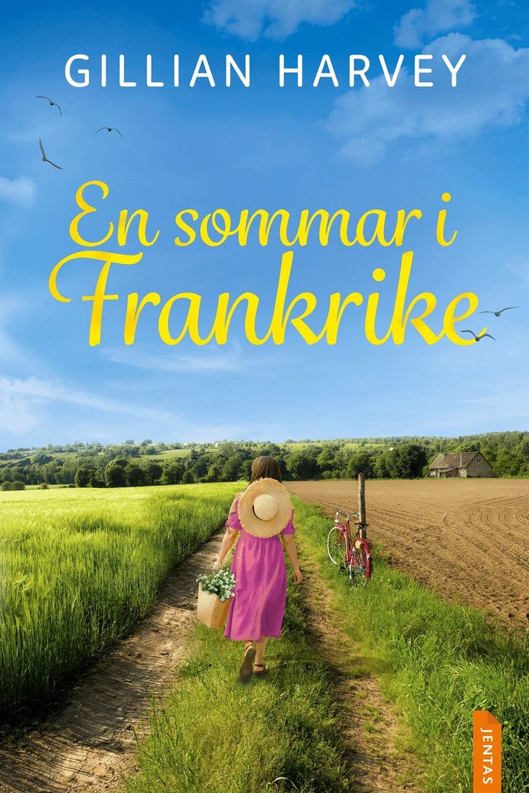 Gillian Harvey - En sommar i Frankrike, E-bok