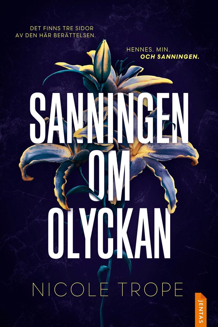 Nicole Trope - Sanningen om olyckan, E-bok