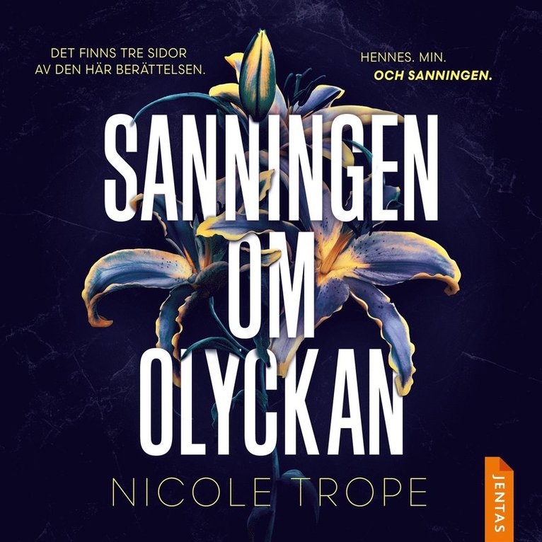 Nicole Trope - Sanningen om olyckan, Ljudbok