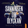Sanningen om olyckan