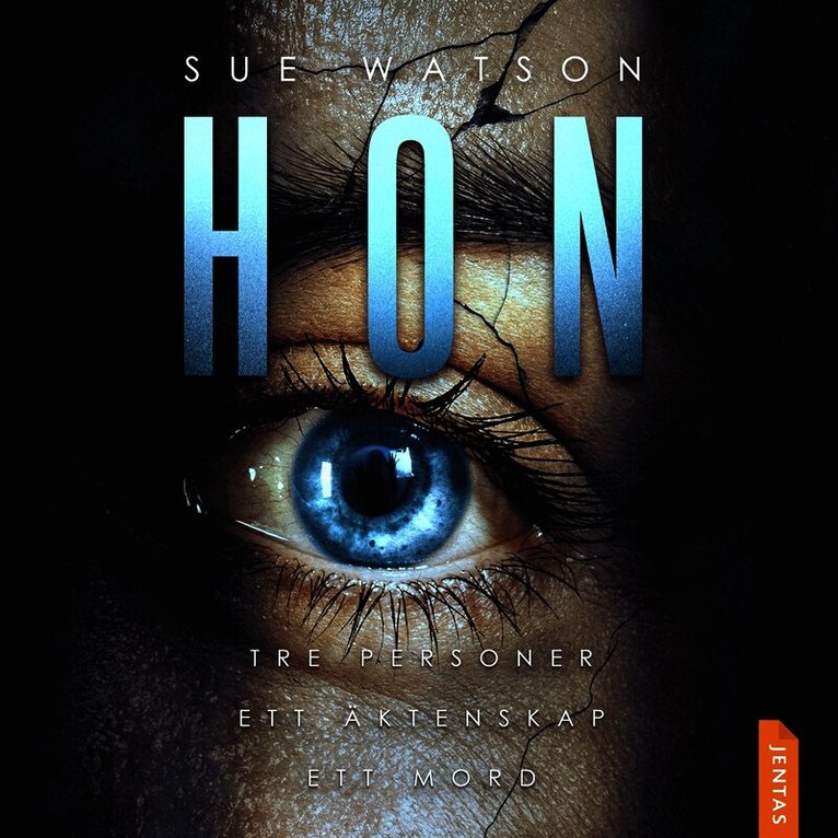 Sue Watson - Hon, Ljudbok