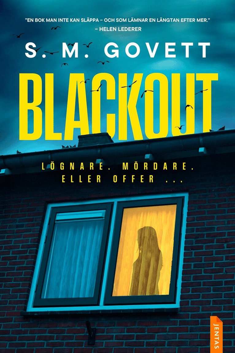 S. M. Govett - Blackout, E-bok