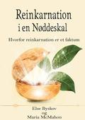Reinkarnation i en Nøddeskal