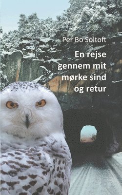 Per Bo Soltoft - En rejse gennem mit mørke sind og retur, Häftad. Tillgänglighet: Lägg i varukorg