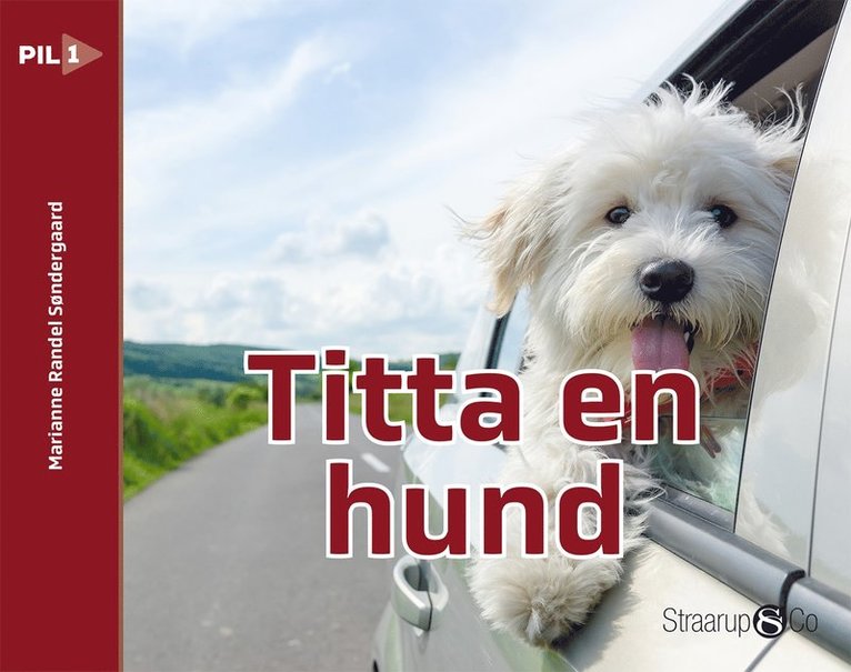 Marianne Randel Søndergaard - Titta en hund, E-bok