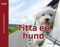 Titta en hund