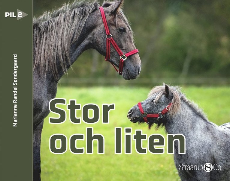 Marianne Randel Søndergaard - Stor och liten, E-bok