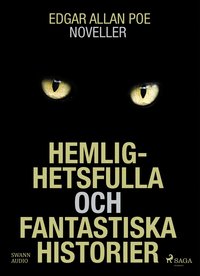 e-Bok Hemlighetsfulla och fantastiska historier <br />                        Mp3 skiva