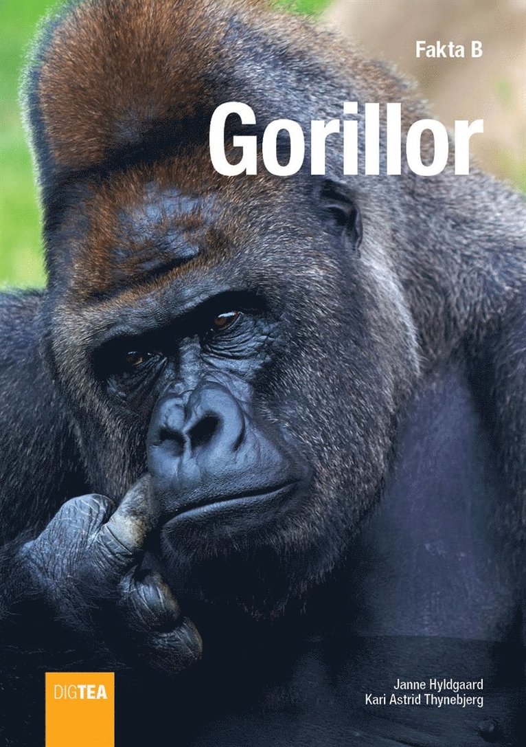 Janne Hyldgaard, Kari Astrid Thynebjerg - Gorillor, E-bok