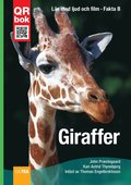 Giraffer - Fakta A