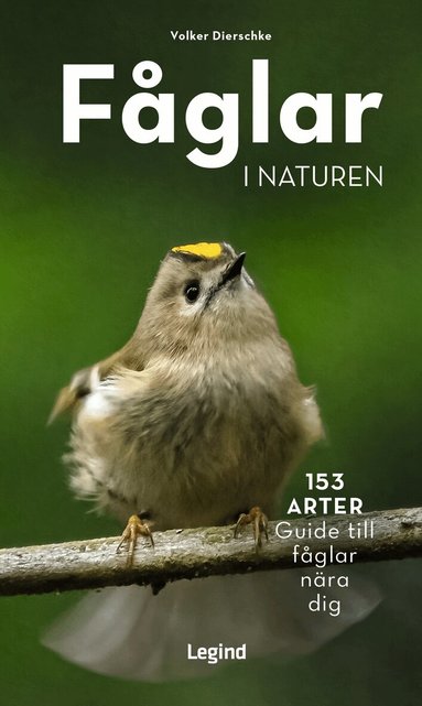 Volker Dierschke - Fåglar i naturen : 153 arter, guide till fåglar nära dig, Häftad. Tillgänglighet: Lägg till