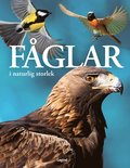 Fglar : i naturlig storlek