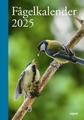 Fgelkalender 2025
