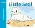 Little Seal