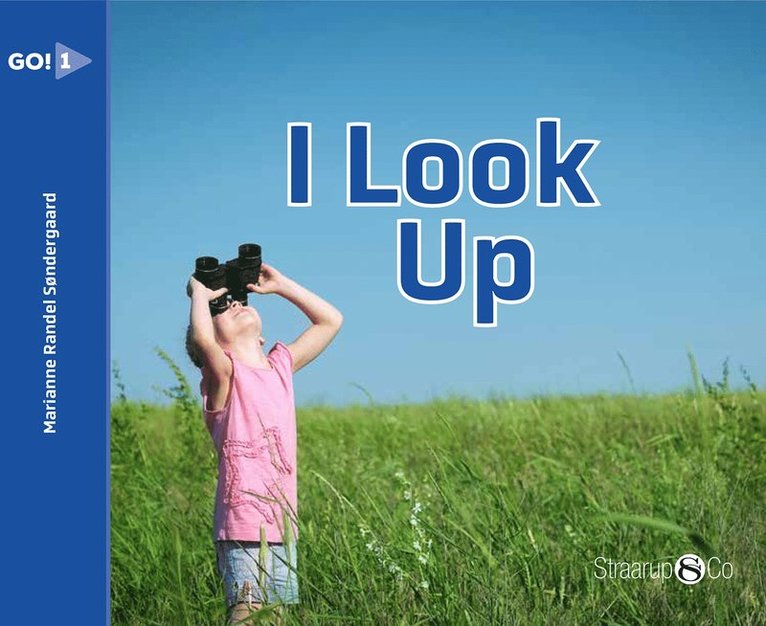 Marianne Søndergaard - I Look Up, E-bok