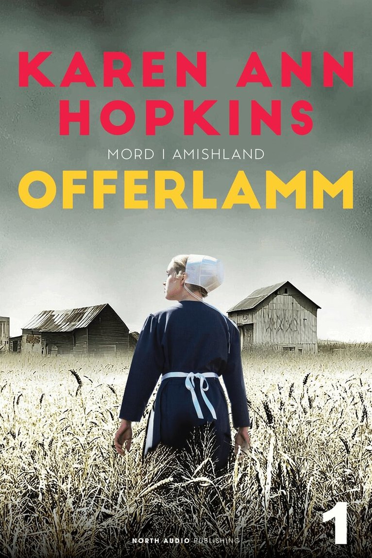 Karen Ann Hopkins - Offerlamm, E-bok