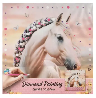 Diamond painting på duk : Häst, 30 x 30 cm, Övrigt