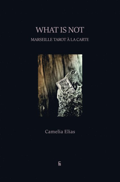 Camelia Elias - What is Not, E-bok
