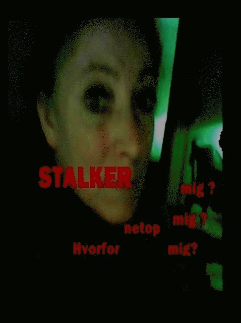 Jette Steen - Stalker - hvorfor netop mig?, E-bok