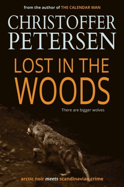 Christoffer Petersen - Lost in the Woods, E-bok
