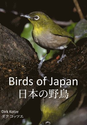 Dirk Kotze - Birds of Japan, Häftad