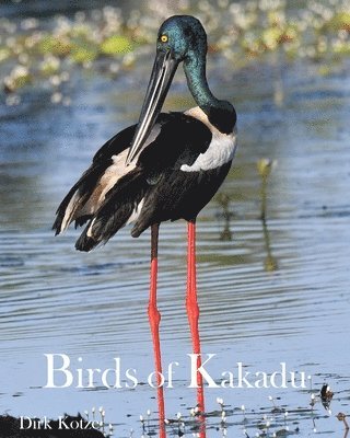 Dirk Kotze - Birds of Kakadu, Häftad