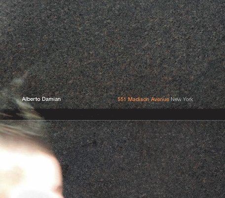 Alberto Damian - 551 Madison Avenue New York, Inbunden