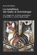 metafisica del Gatto di Schrdinger