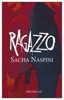 Sacha Naspini - Ragazzo, Häftad
