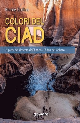 Nicole Guillon - I Colori del Ciad. A piedi nel deserto dell'Ennedi, l'Eden del Sahara, Häftad