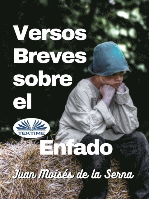 Juan Moises De La Serna - Versos Breves Sobre El Enfado, E-bok