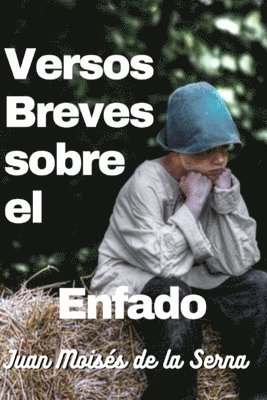Juan Moises de la Serna - Versos Breves Sobre El Enfado, Häftad