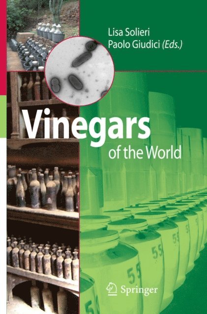 Paolo Giudici, Laura Solieri - Vinegars of the World, E-bok