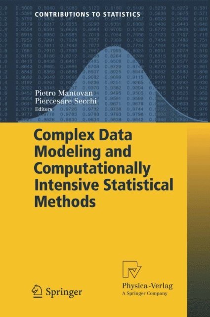 Piercesare Secchi, Pietro Mantovan - Complex Data Modeling and Computationally Intensive Statistical Methods, E-bok