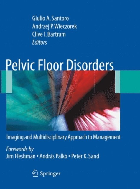 Clive I. Bartram, Andrzej P. Wieczorek, Giulio Santoro - Pelvic Floor Disorders, E-bok