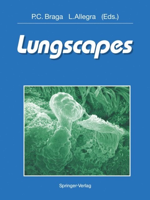 Luigi Allegra, Pier C. Braga - Lungscapes, E-bok