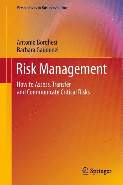 Barbara Gaudenzi, Antonio Borghesi - Risk Management, E-bok