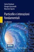 Particelle e interazioni fondamentali