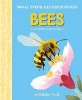 Small Steps, Big Discoveries: Bees