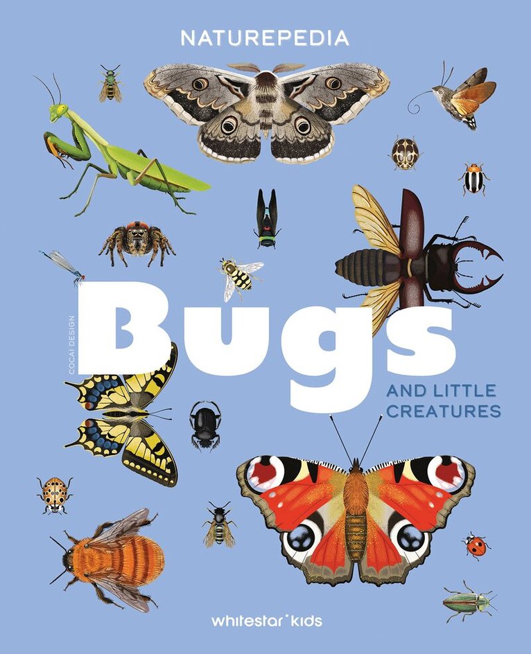 Cocai Design, Danio Miserocchi - Naturepedia: Bugs and Little Creatures, Inbunden