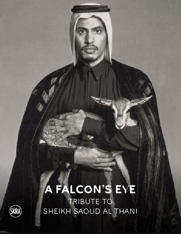Hubert Bari, Mounia Chekhab-Abudaya - Falcon’s Eye, Häftad. Tillgänglighet: Tillfälligt slut