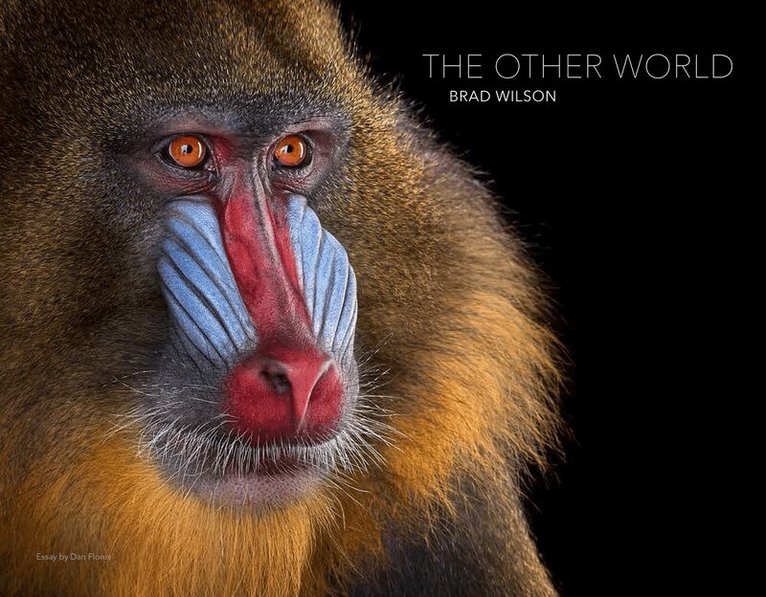 Other World: Animal Portraits, Inbunden