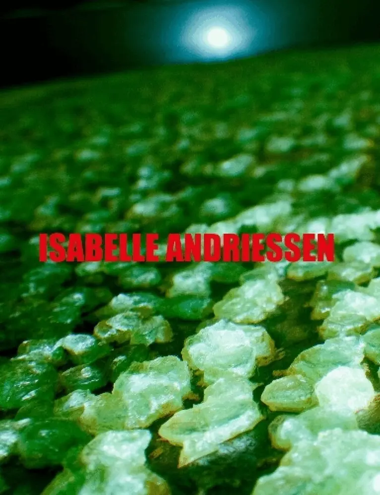 Isabelle Andriessen - DORM, Häftad. Tillgänglighet: Lägg i varukorg