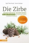 Die Zirbe