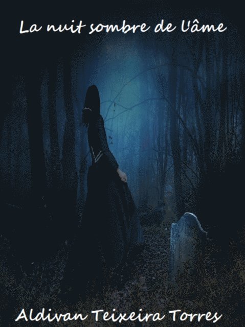 Aldivan  Teixeira Torres - La Nuit Sombre De L'Âme, E-bok