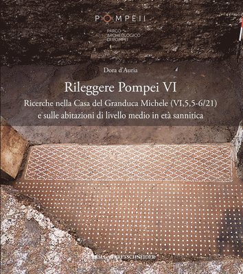 Dora D'Auria - Rileggere Pompei VI. La Casa del Granduca Michele (Vi,5,5) E Le Case Di Livello Medio a Pompei in Eta Sannitica, Häftad
