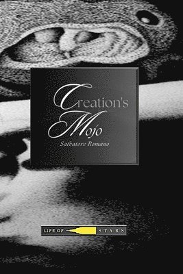 Salvatore Romano - Creation's Mojo, Häftad