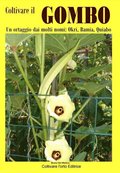 Coltivare il Gombo. Un ortaggio dai molti nomi: Okri, Bamia, Quiabo